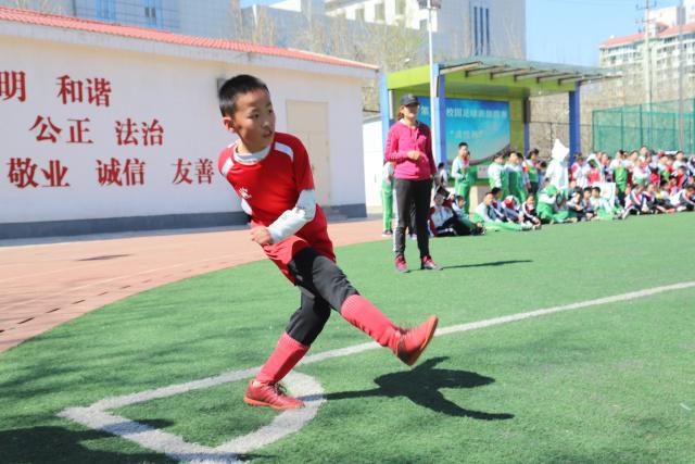 联合国秘书长选举：巴切莱特黯然退选，五常否决权关键